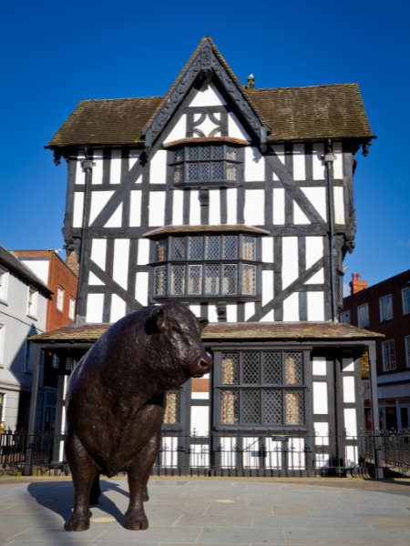 picture of the Black and White house and Bull in Hereford