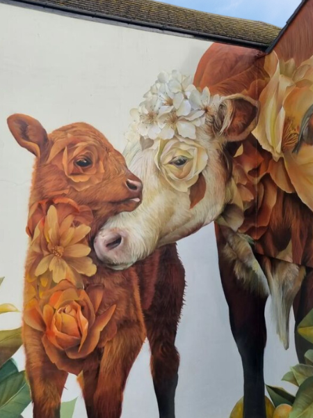 A Mural of a cow with her calf
